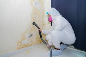 Professional Mold Remediation in Homewood, IL